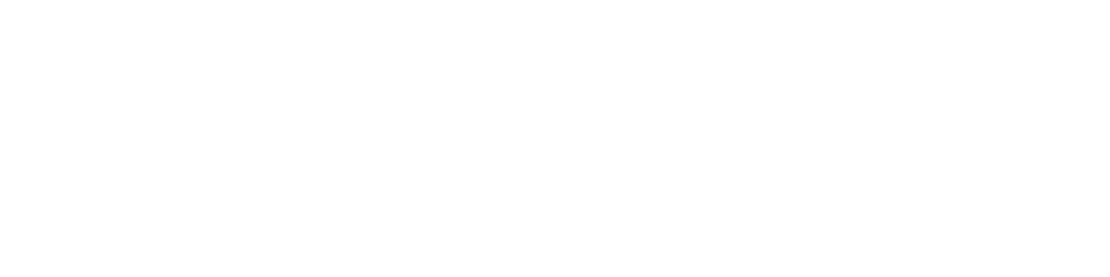 Accounting Elements